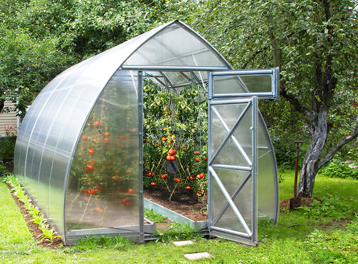 Greenhouses - buy now